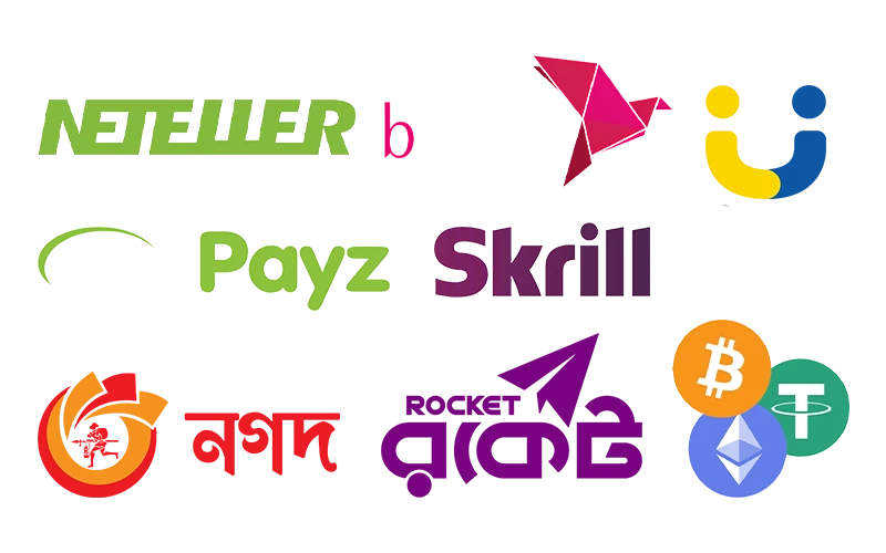 Use multiple secure payment methods at DBbet casino today.