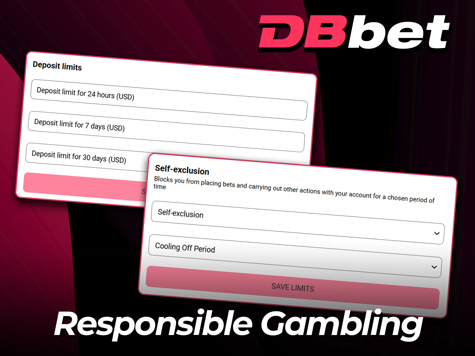 Check responsible gaming rules on the DBbet website.