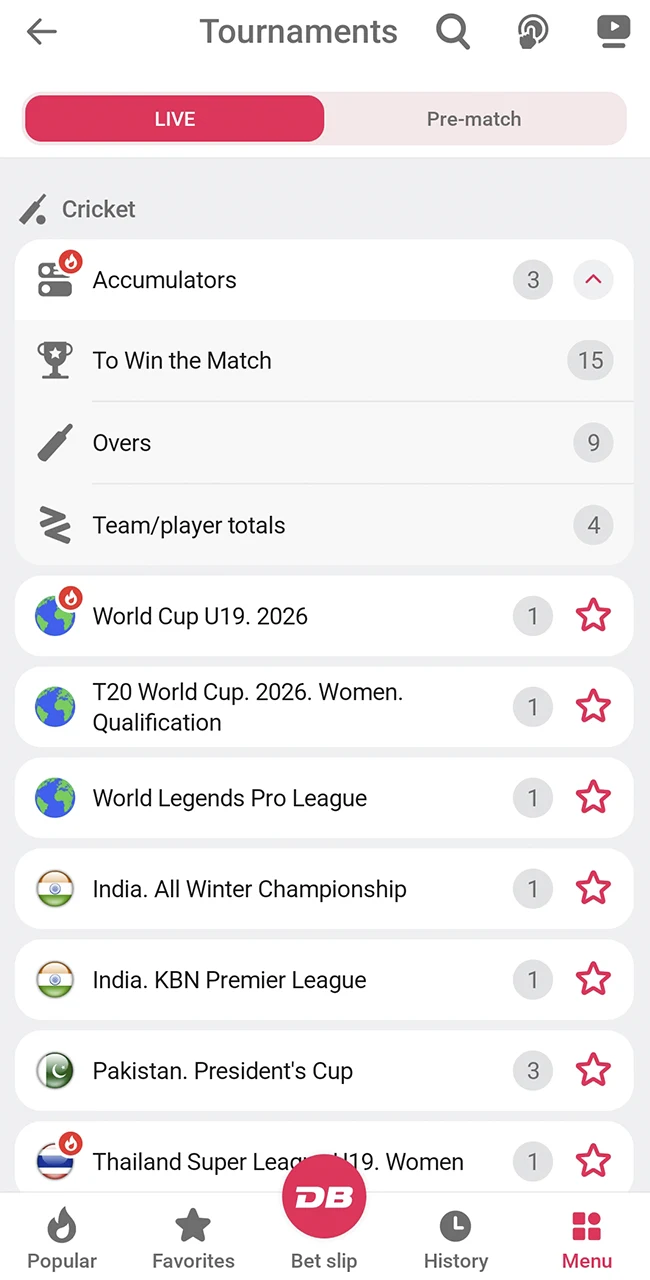 Select cricket leagues and matches at DBbet.