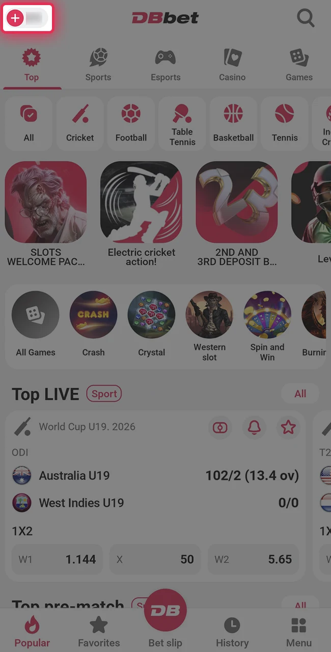 Navigate to the cashier on the DBbet platform.