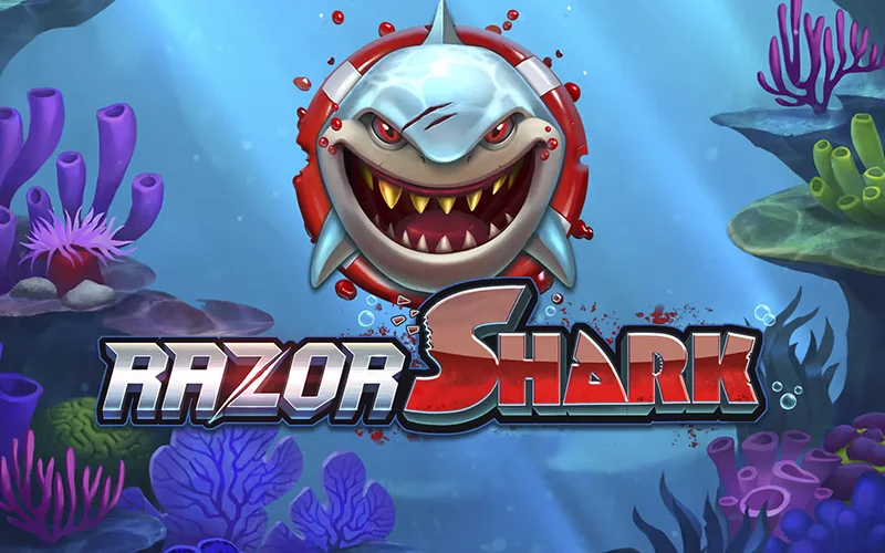 Play the high stakes Razor Shark at DBBet.