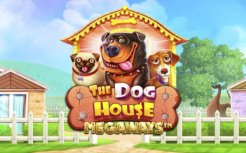 Spin The Dog House Megaways at DBBet.