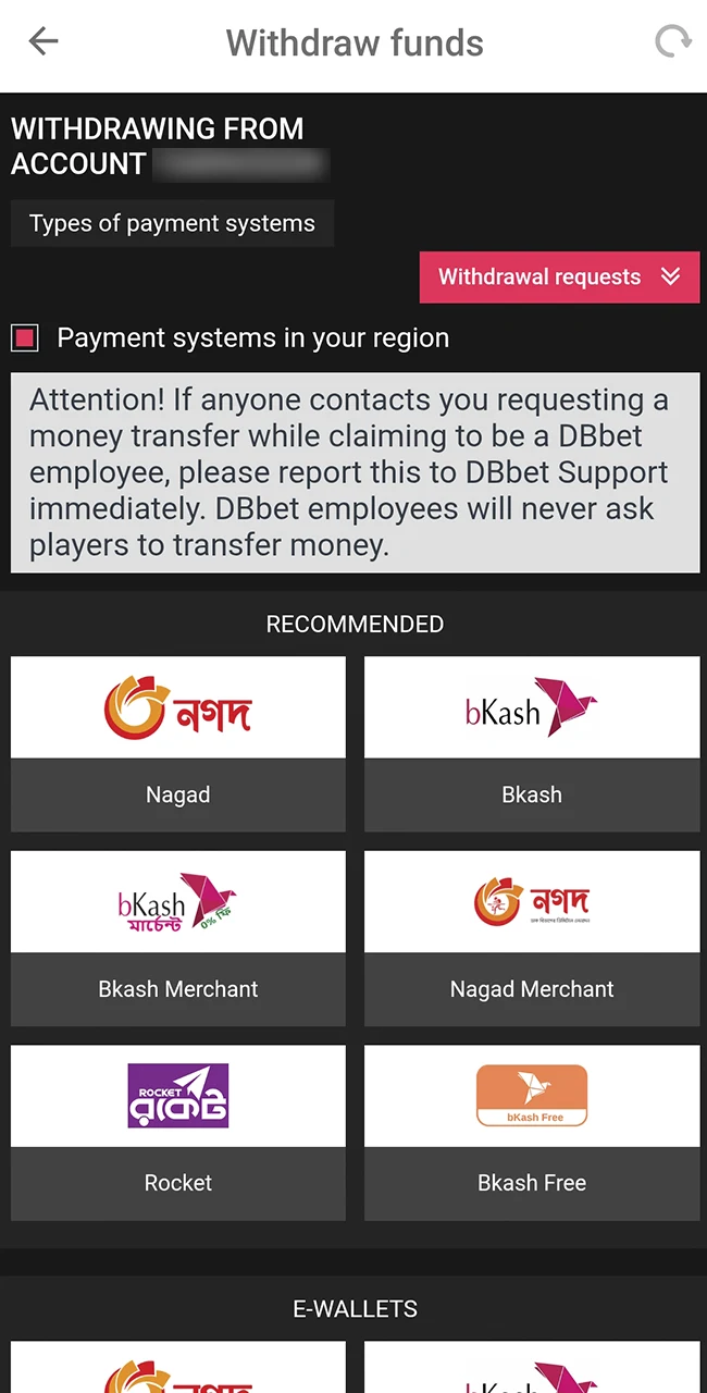 Select a local payment method at DBBet.