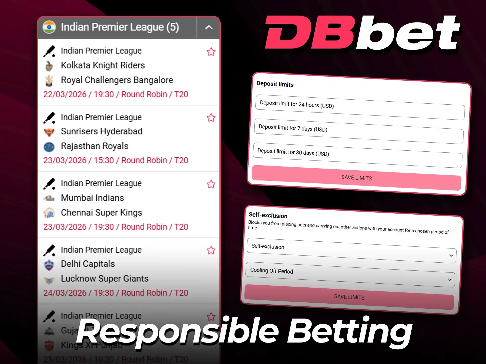Practice safe IPL betting on the DBbet platform.